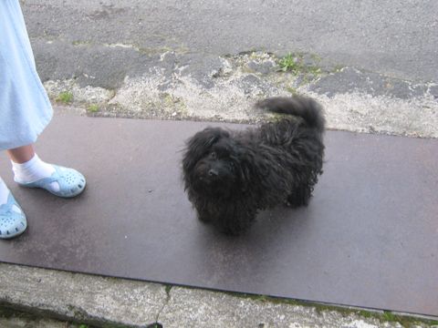 Foto 16
